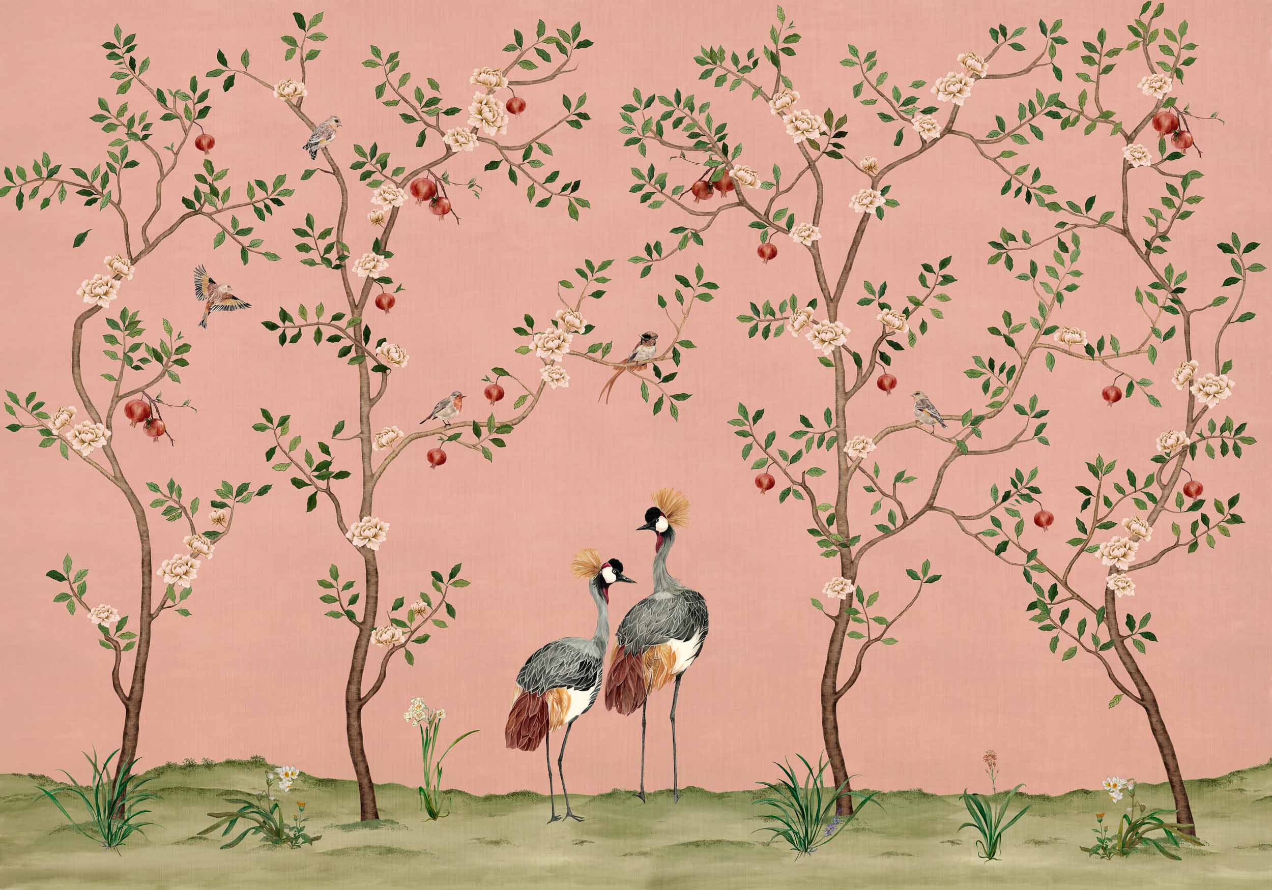 Crowned Crane, Rose, Coordonne